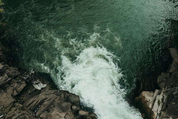 Explorez les initiatives du Festival d'Avignon pour célébrer la diversité et enrichir l'inclusion culturelle.