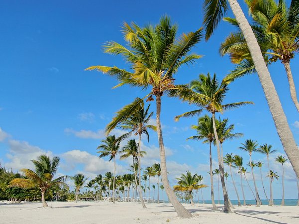 Les incontournables du tourisme à marseille : explorez la ville!